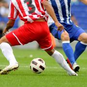 DETAIL14463 gazon, semences, sport, ray-grass, 4urf