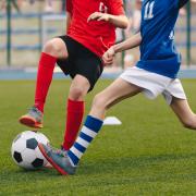 DETAIL14471 gazon, sport, semences, stolons