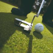 DETAIL14473 gazon, golf, green, semences, agrostides