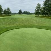 DETAIL14499 gazon, semences, green, golf, flagstick